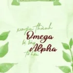[Abo-Edit-Hoàn] Xuyên Thành Omega Bị Bảy Alpha Từ Hôn