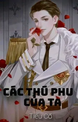 [ĐM/Song Tính] Các Thú Phu Của Ta