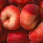 [Đam Mỹ – Cao H] Nhuyễn hương nhập hoài