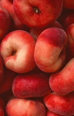 [Đam Mỹ – Cao H] Nhuyễn hương nhập hoài